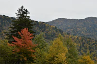 a mountain range in the distance